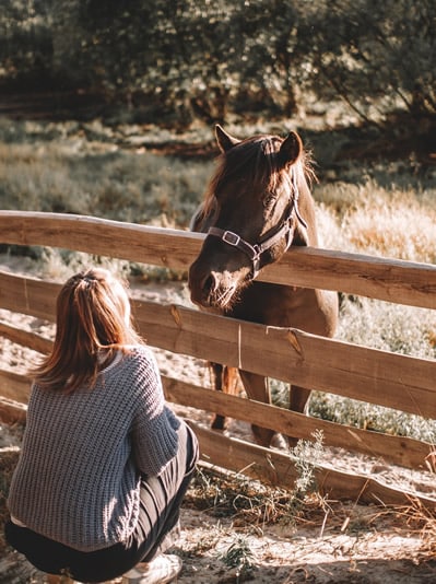 A woman contacts a horse near a fence.